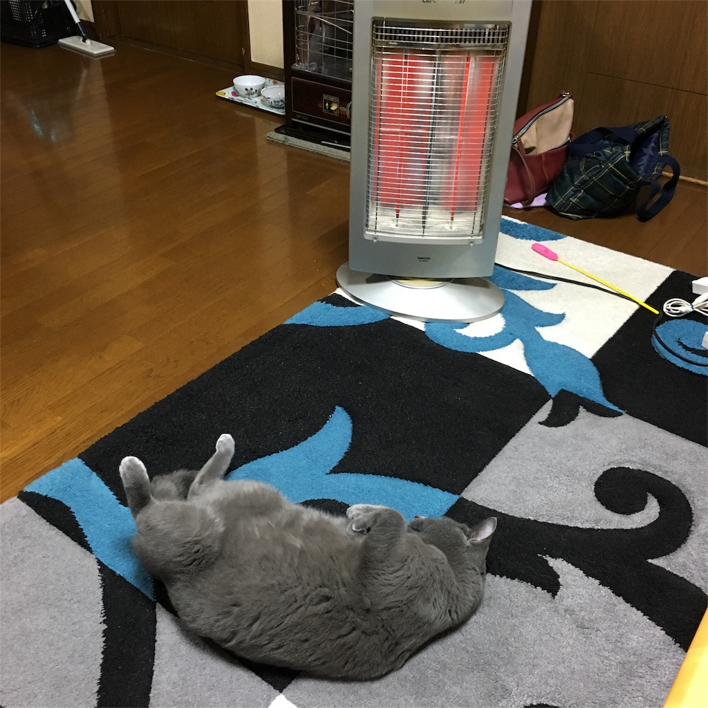 f:id:roriemonlove:20181205220914j:image f:id:roriemonlove:20181205220914j:image
