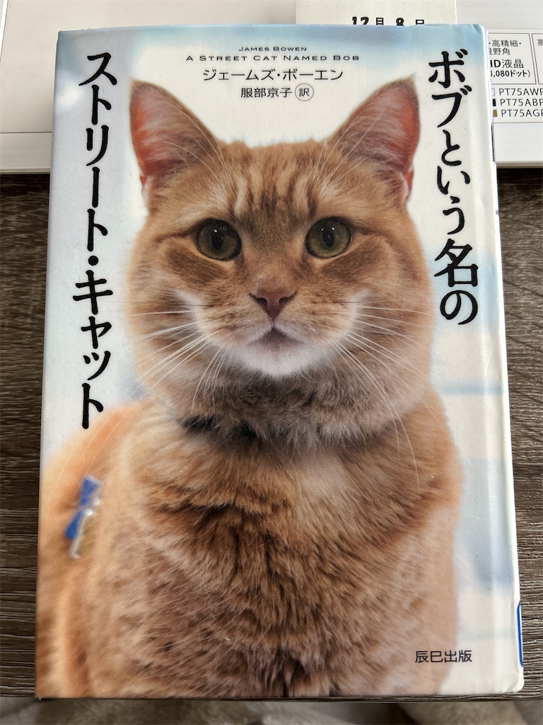 ボブという名のストリート・キャット【読書感想】 - 30代女、転職失敗 
