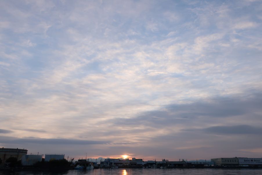 f:id:rorisu:20220408145314j:plain