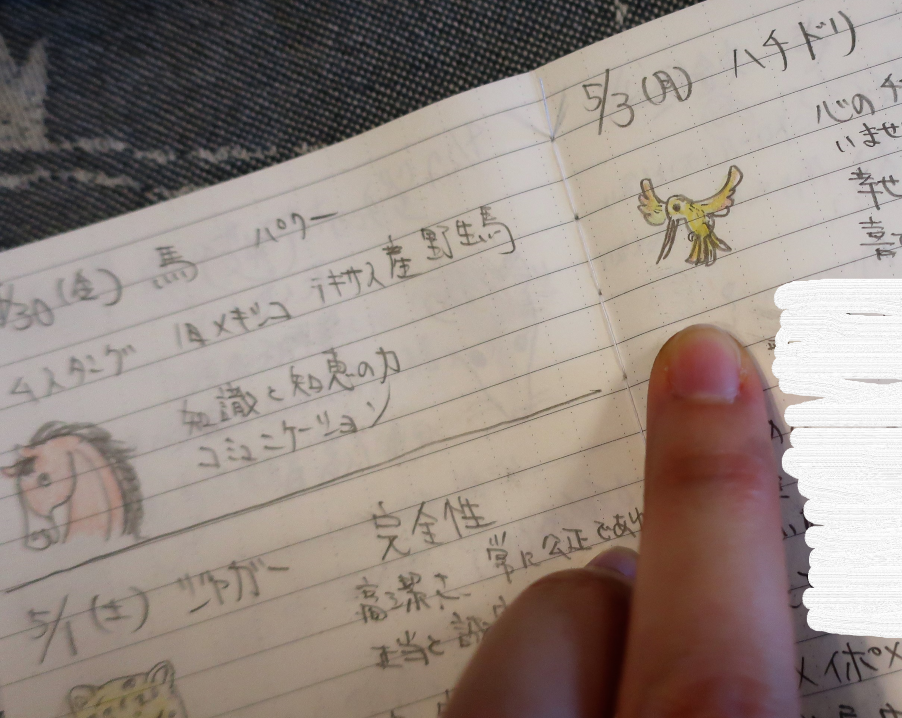 1年間達成アニマルメディスンカード～今はこんな風に使ってい