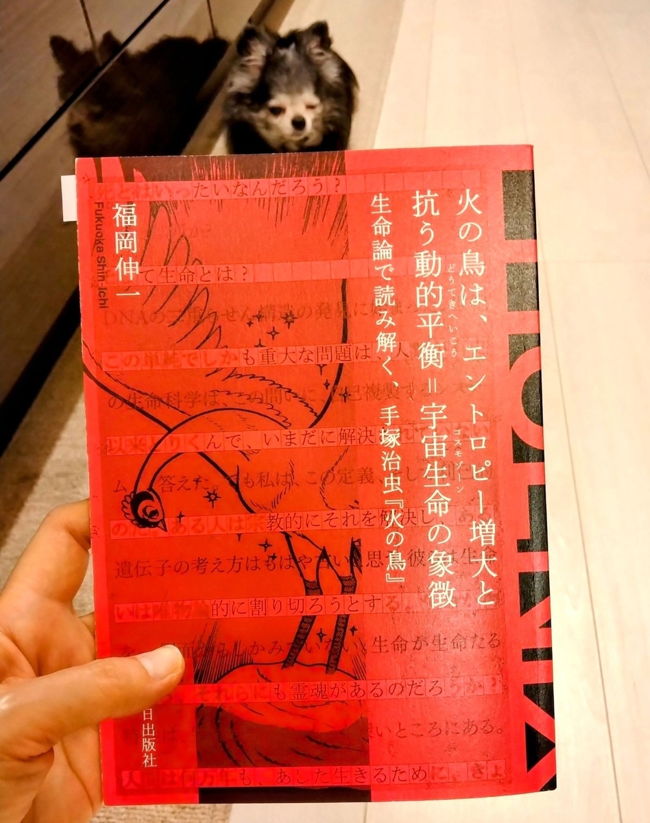 手塚治虫【火の鳥】展へ・福岡伸一から見る手塚治虫の世界 - ロリスの
