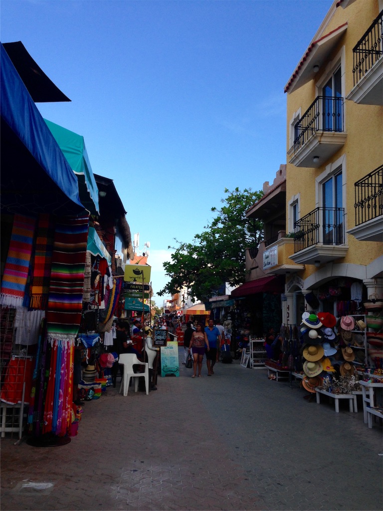 f:id:rosa23:20170103190637j:image f:id:rosa23:20170103190637j:image