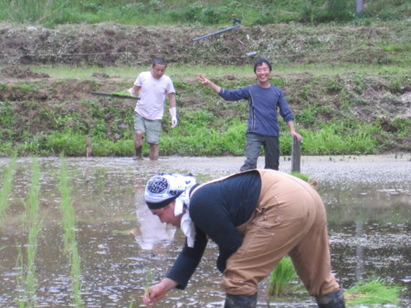 f:id:rosa41:20120520170212j:image f:id:rosa41:20120520170212j:image