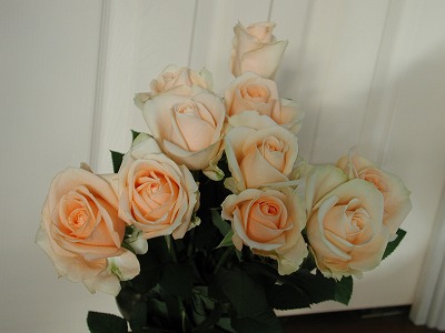 f:id:rosa8719:20130128145856j:image