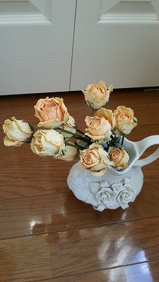 f:id:rosa8719:20130205094006j:image