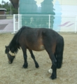 20090314224837