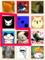 hatena star friends