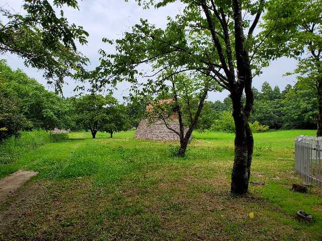 f:id:rosafelicitatis:20220823224601j:image