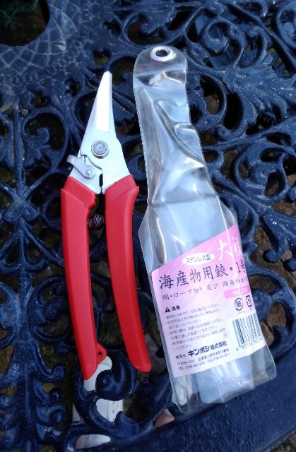 f:id:rose-eiko:20211103204003j:image