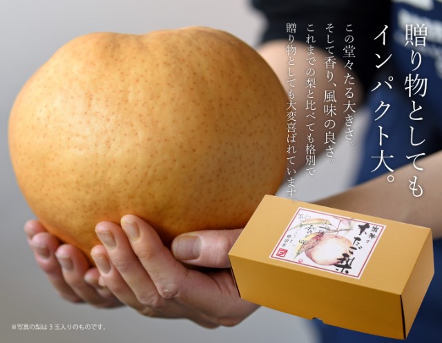 f:id:rose-eiko:20211129195651j:image f:id:rose-eiko:20211129195651j:image