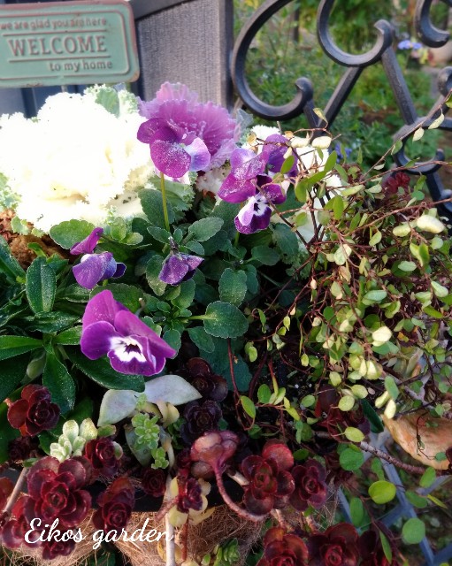 f:id:rose-eiko:20211129200236j:image f:id:rose-eiko:20211129200236j:image