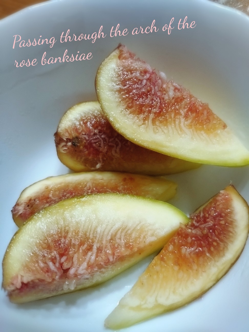 f:id:rose-eiko:20260901212753j:image f:id:rose-eiko:20260901212753j:image