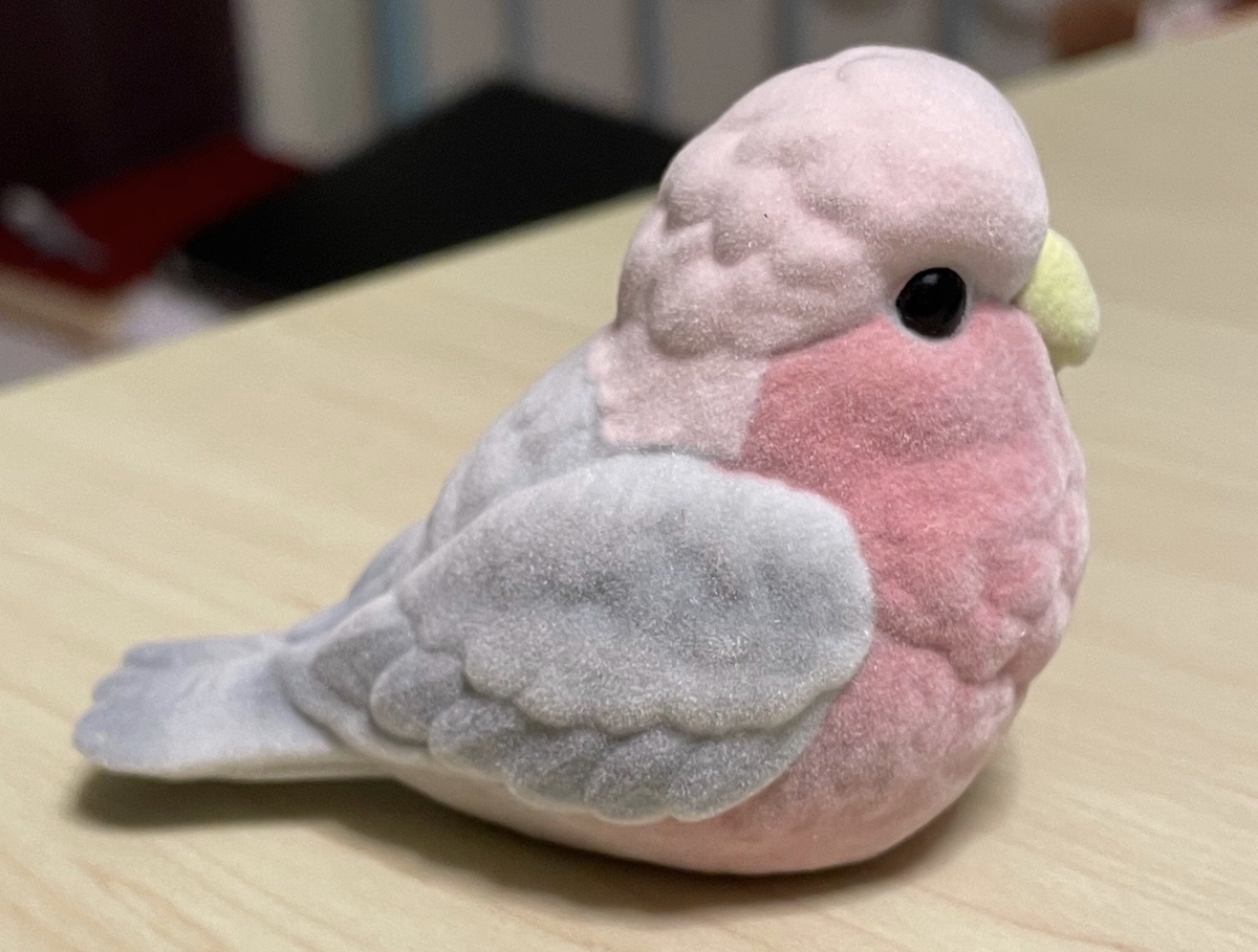 モモイロインコ（腹が桃色、羽と尾羽が灰色、冠が薄桃色）のインコのまるっこくデフォルメされたフィギュアが机の上にある