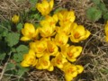 20120619211028