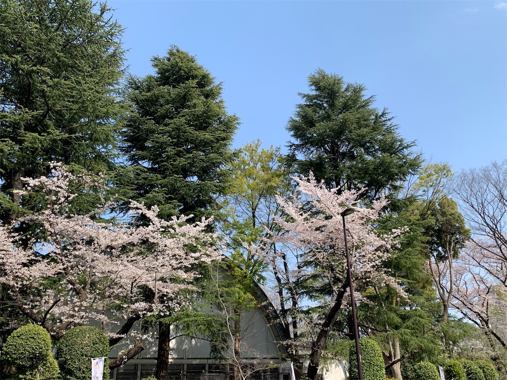 f:id:roseadagio:20190407164953j:image f:id:roseadagio:20190407164953j:image