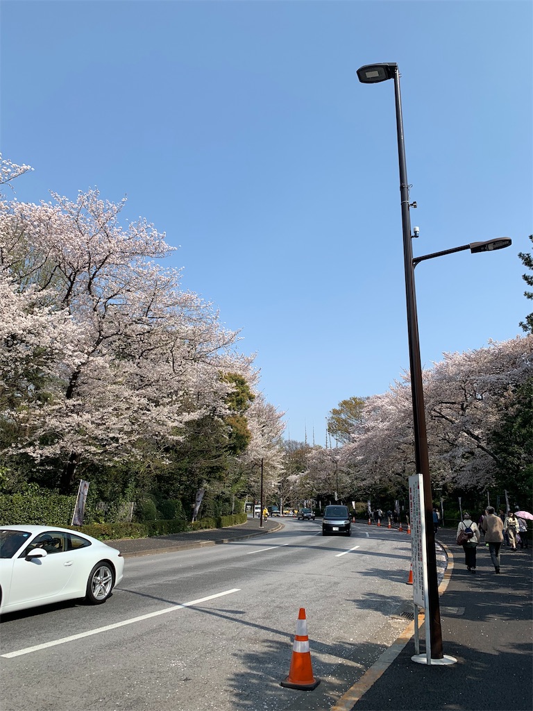 f:id:roseadagio:20190407164957j:image f:id:roseadagio:20190407164957j:image
