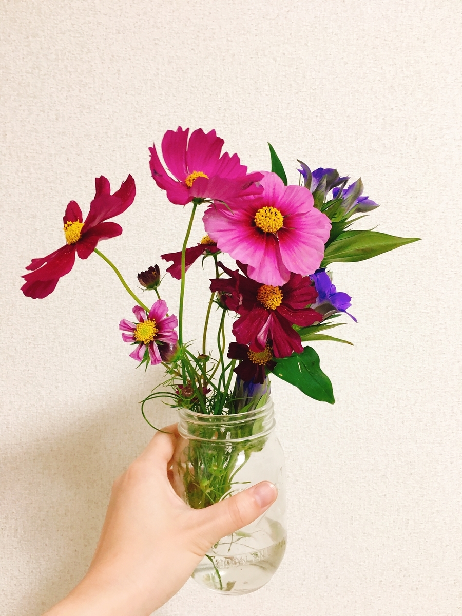 f:id:rosecosmos:20201015173510j:plain f:id:rosecosmos:20201015173510j:plain