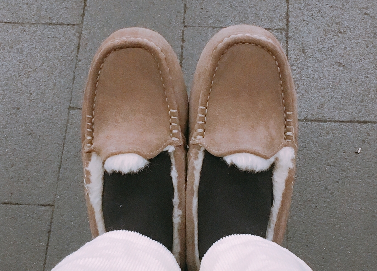 f:id:rosecosmos:20210207213509j:plain