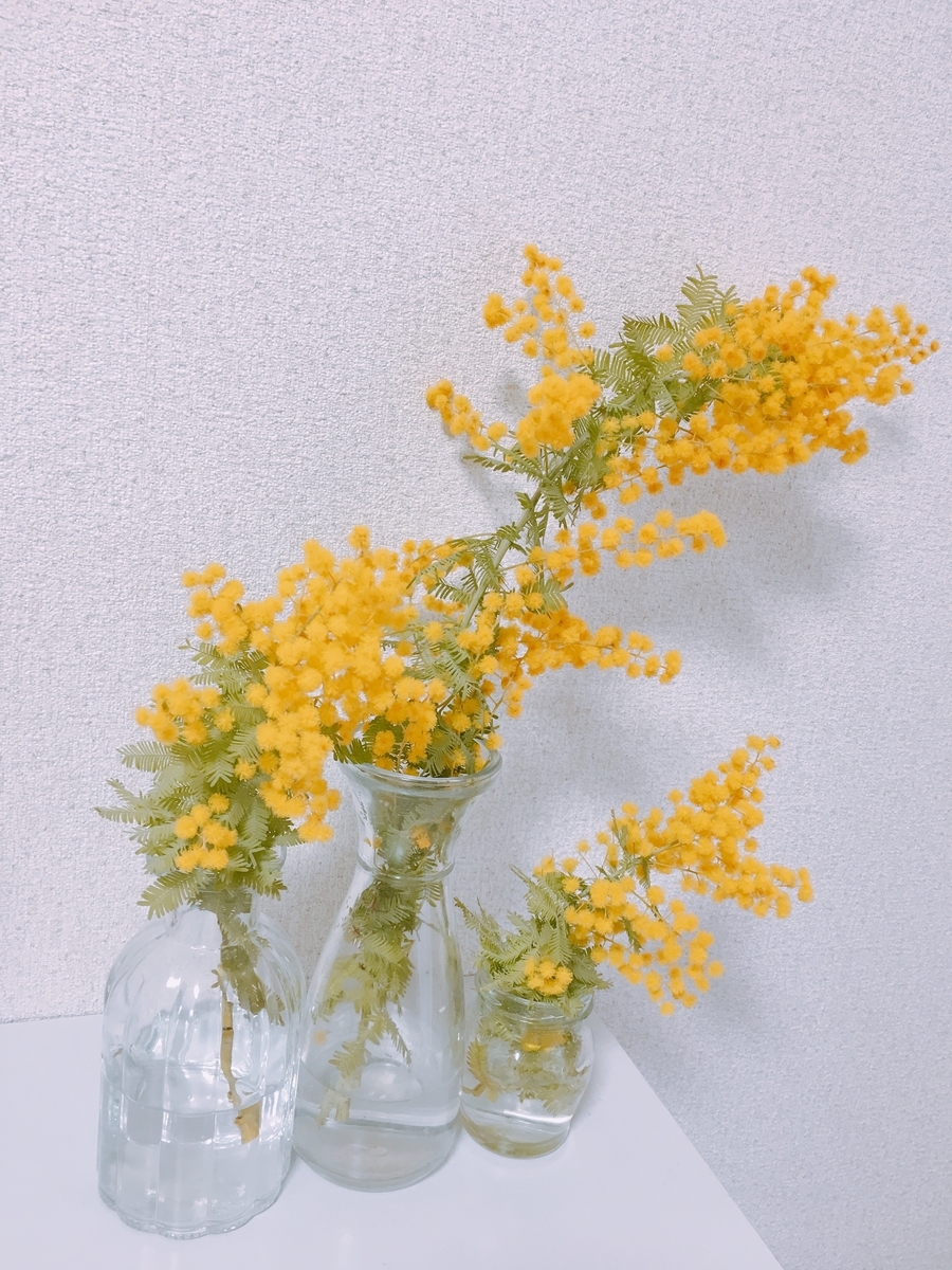 f:id:rosecosmos:20210226151603j:plain