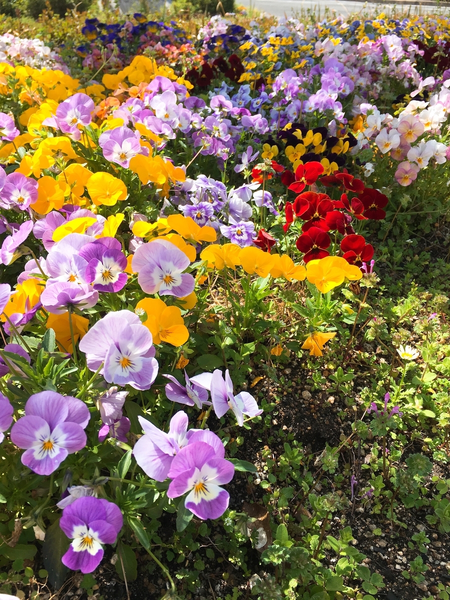 f:id:rosecosmos:20210401110932j:plain