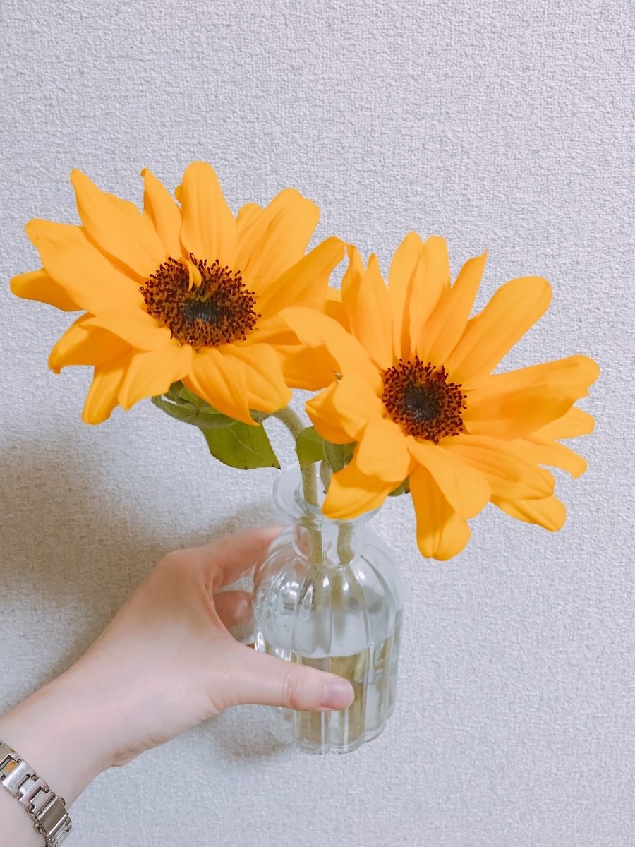 f:id:rosecosmos:20210506202137j:plain