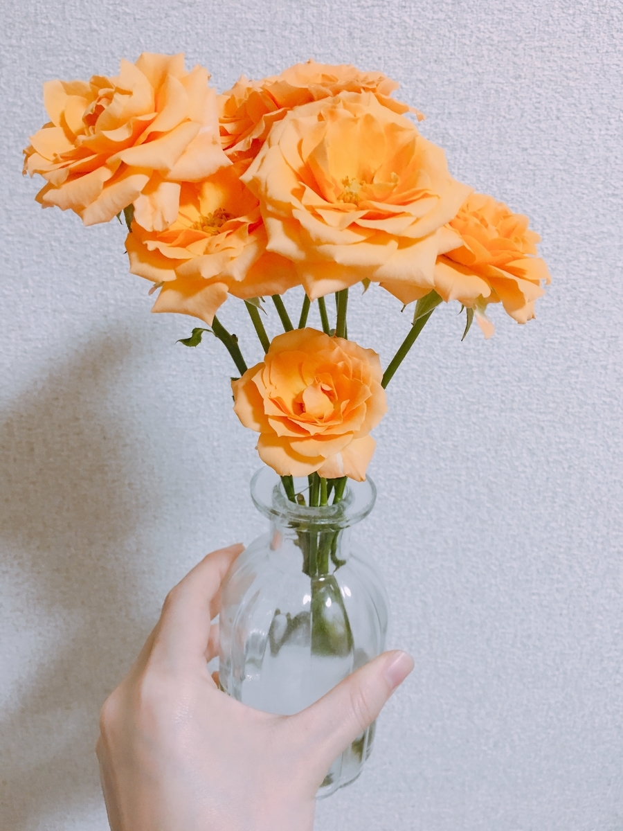 f:id:rosecosmos:20210520205658j:plain