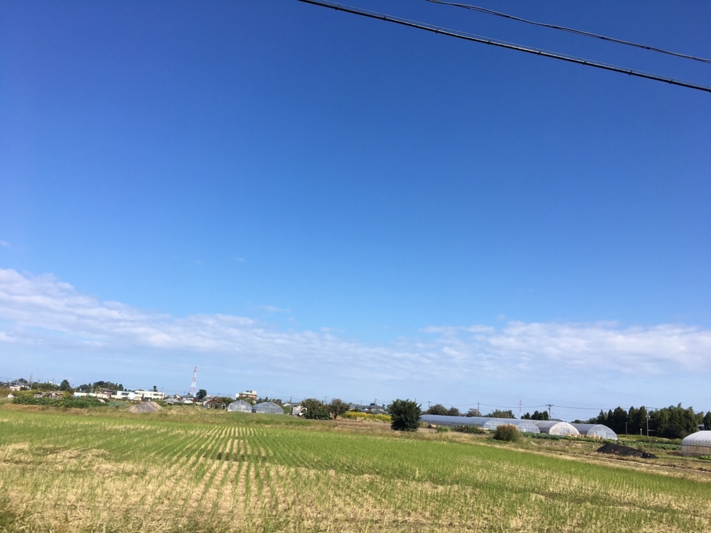 f:id:roseflower:20170531070839j:plain f:id:roseflower:20170531070839j:plain