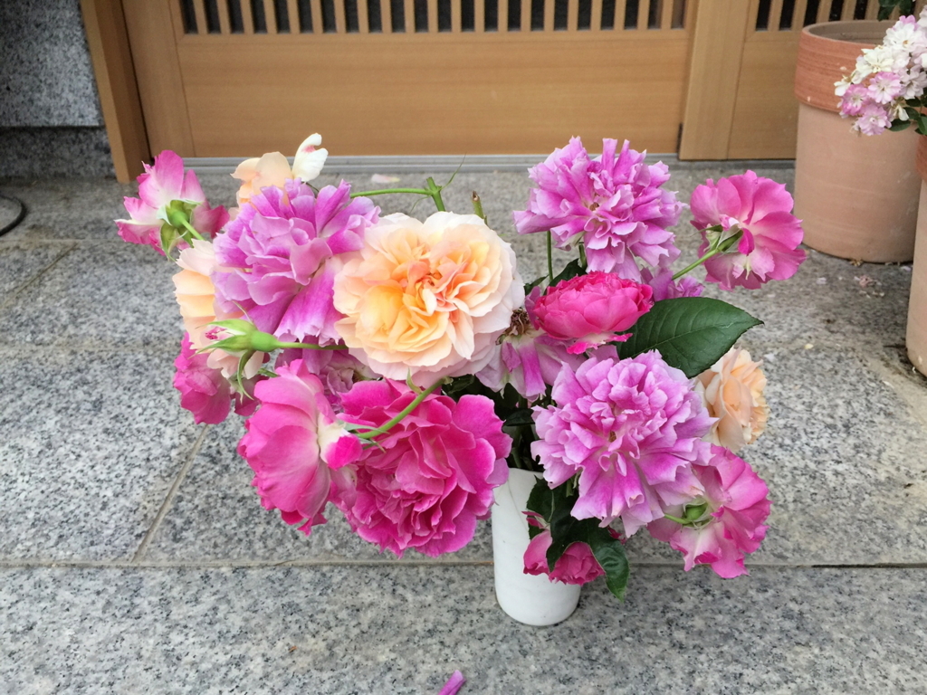 f:id:rosegarden2017:20170611124034j:plain f:id:rosegarden2017:20170611124034j:plain
