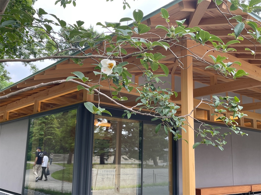 f:id:rosehazuki:20220621122812j:image