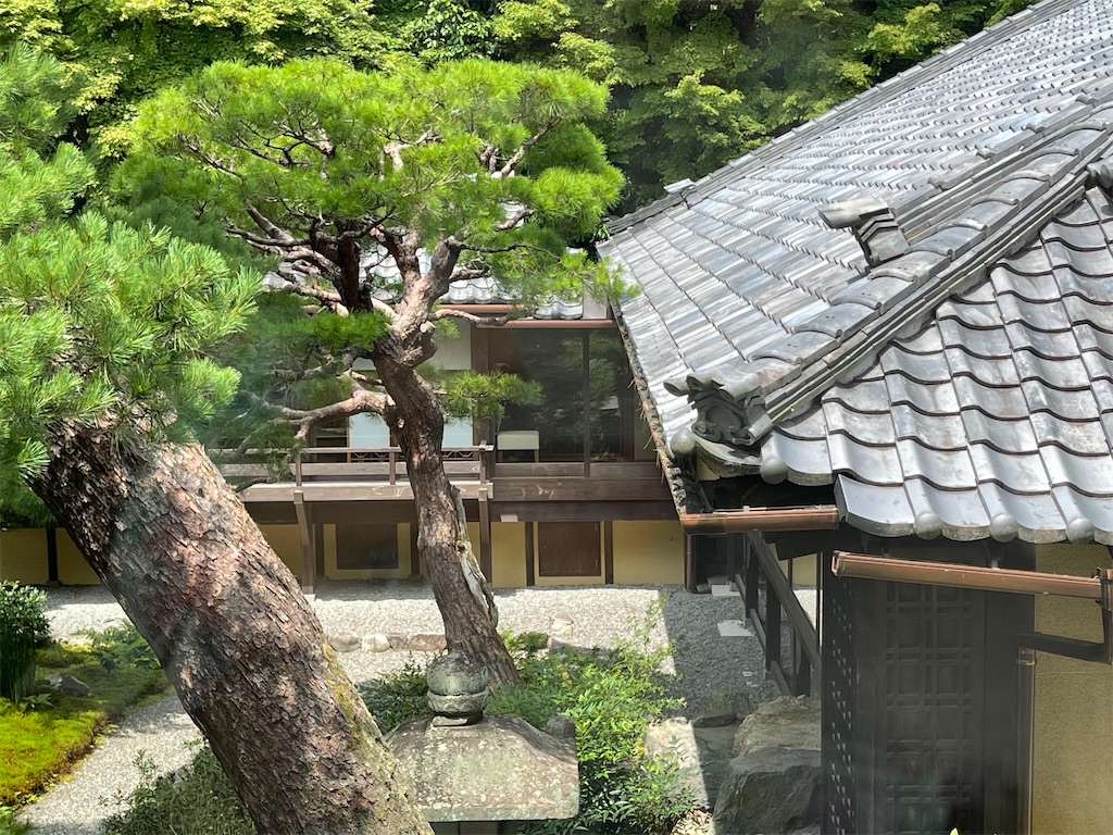 f:id:rosehazuki:20220721211306j:image