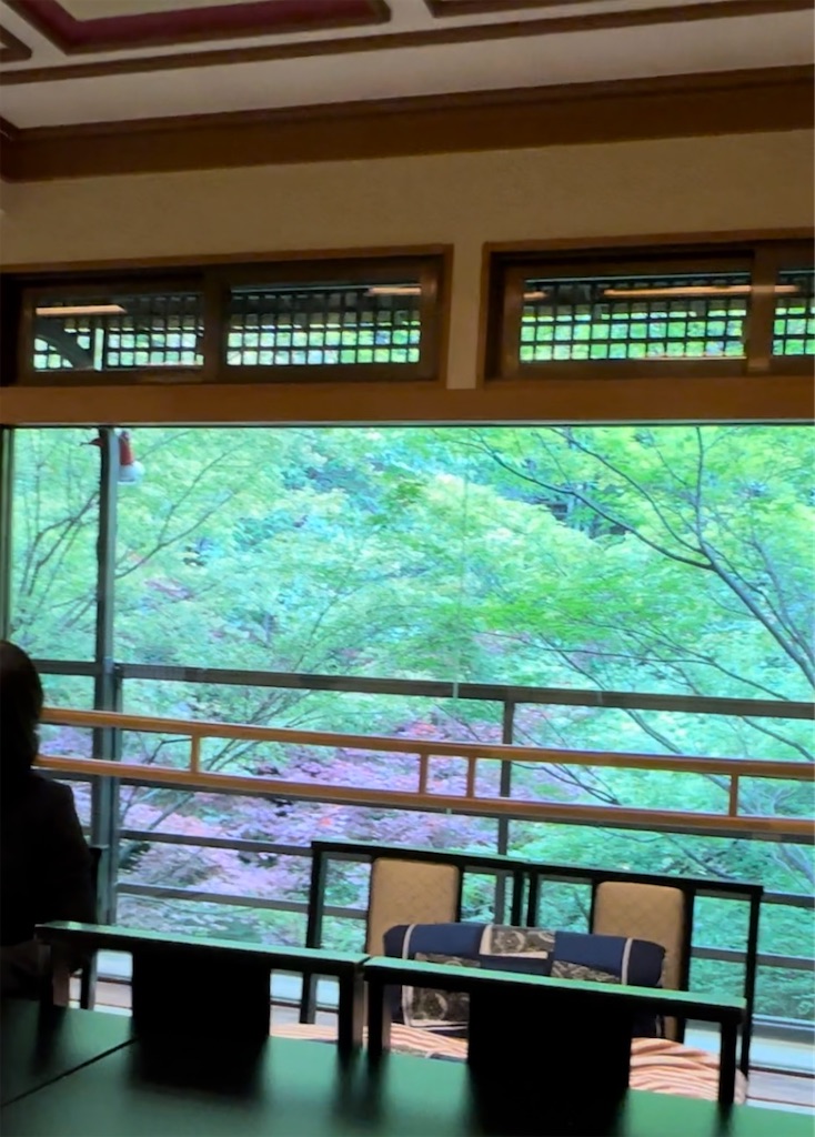 f:id:rosehazuki:20230506135145j:image
