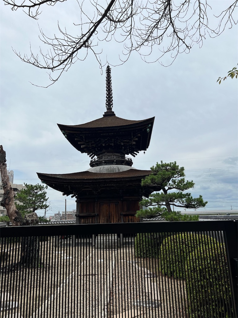 f:id:rosehazuki:20230625220830j:image f:id:rosehazuki:20230625220830j:image
