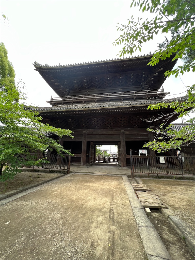 f:id:rosehazuki:20230625220837j:image f:id:rosehazuki:20230625220837j:image