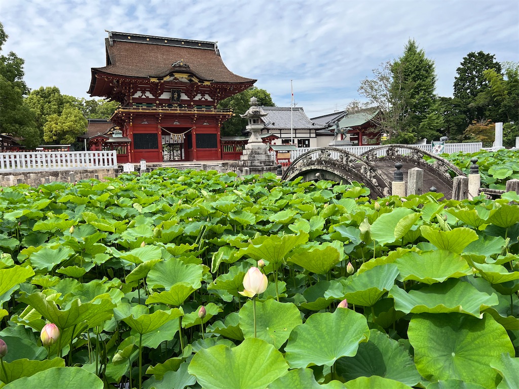f:id:rosehazuki:20230710114322j:image f:id:rosehazuki:20230710114322j:image