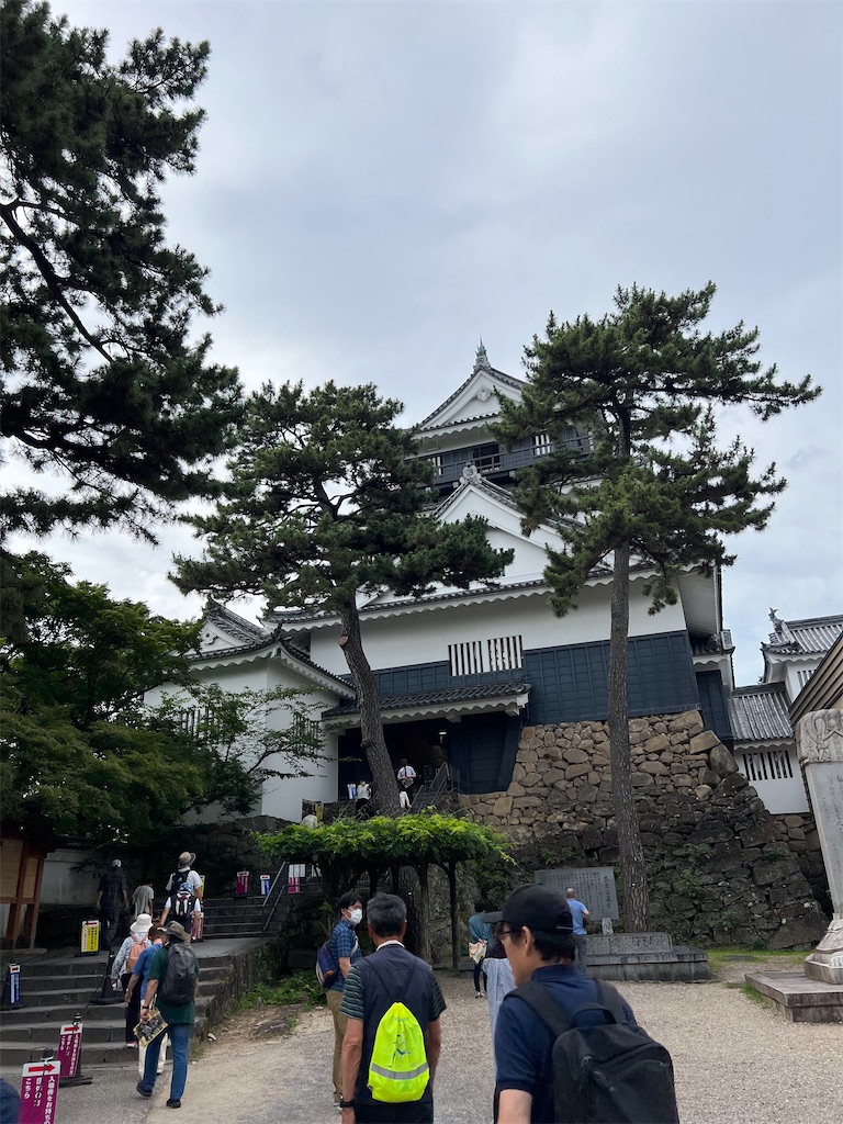 f:id:rosehazuki:20230710130614j:image f:id:rosehazuki:20230710130614j:image