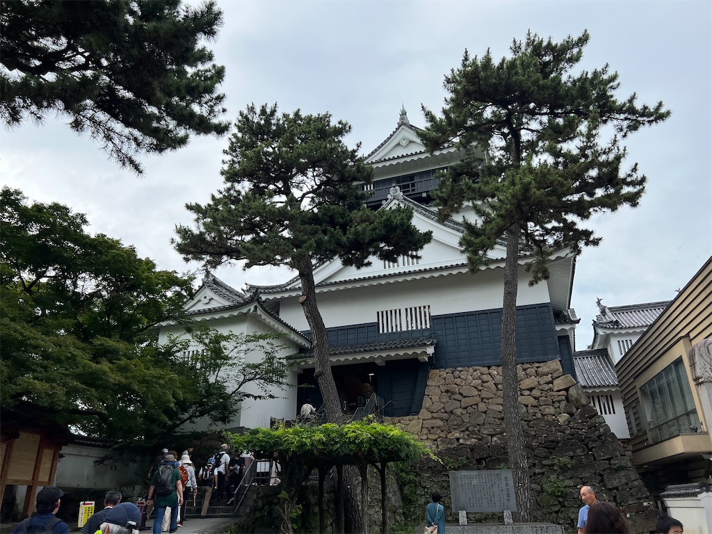 f:id:rosehazuki:20230710130656j:image f:id:rosehazuki:20230710130656j:image