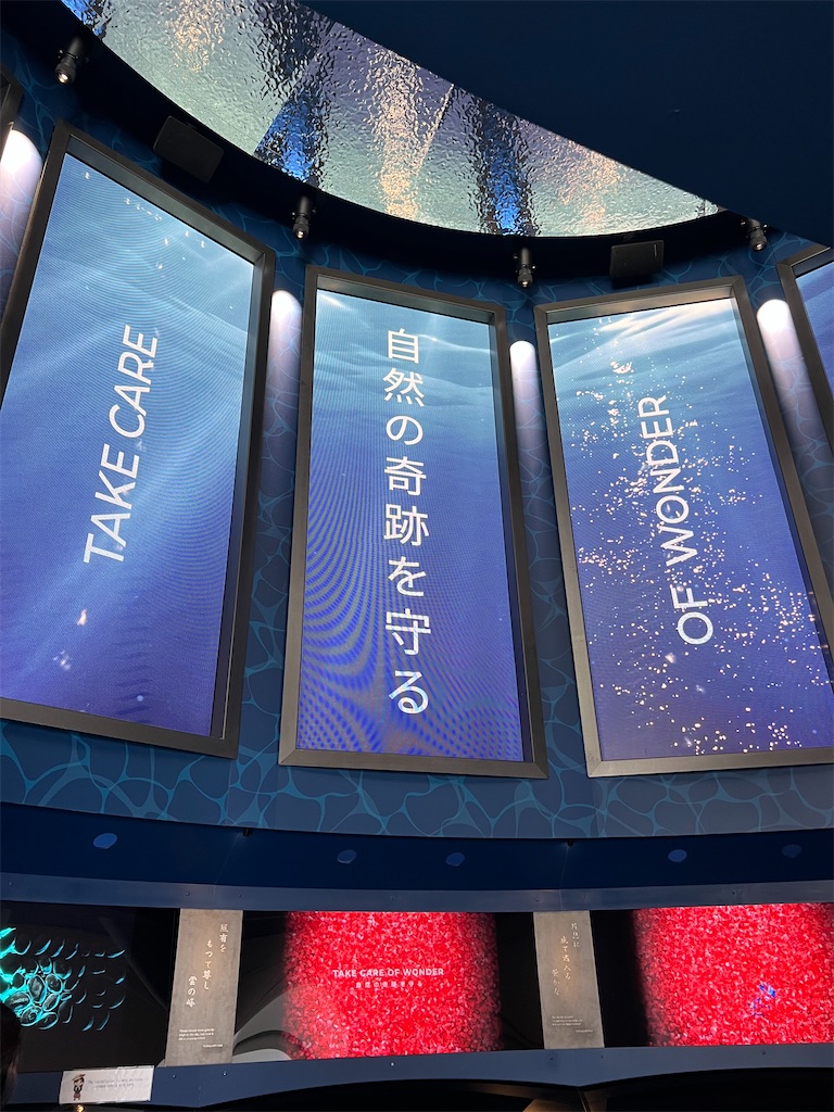 f:id:rosehazuki:20251010174703j:image f:id:rosehazuki:20251010174703j:image