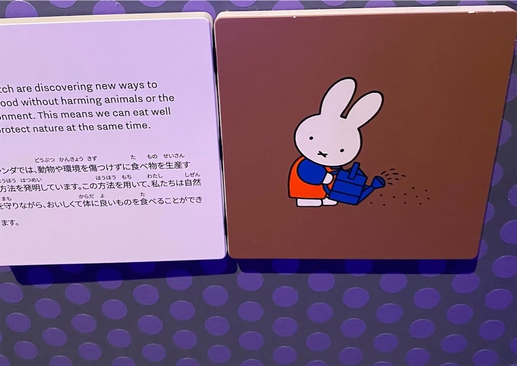 f:id:rosehazuki:20251012233337j:image