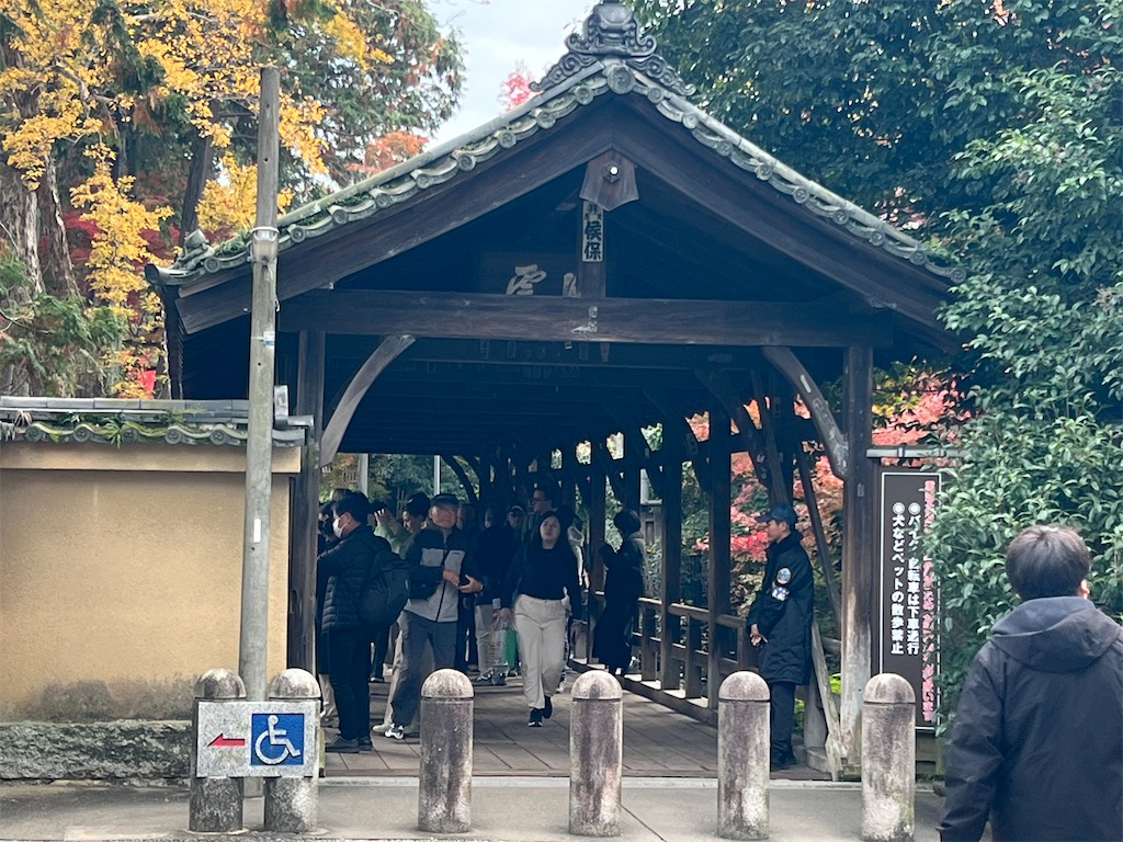 f:id:rosehazuki:20251207215537j:image