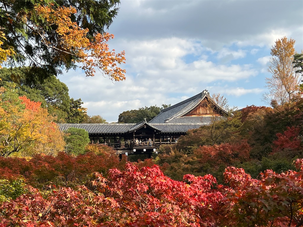 f:id:rosehazuki:20251207215541j:image