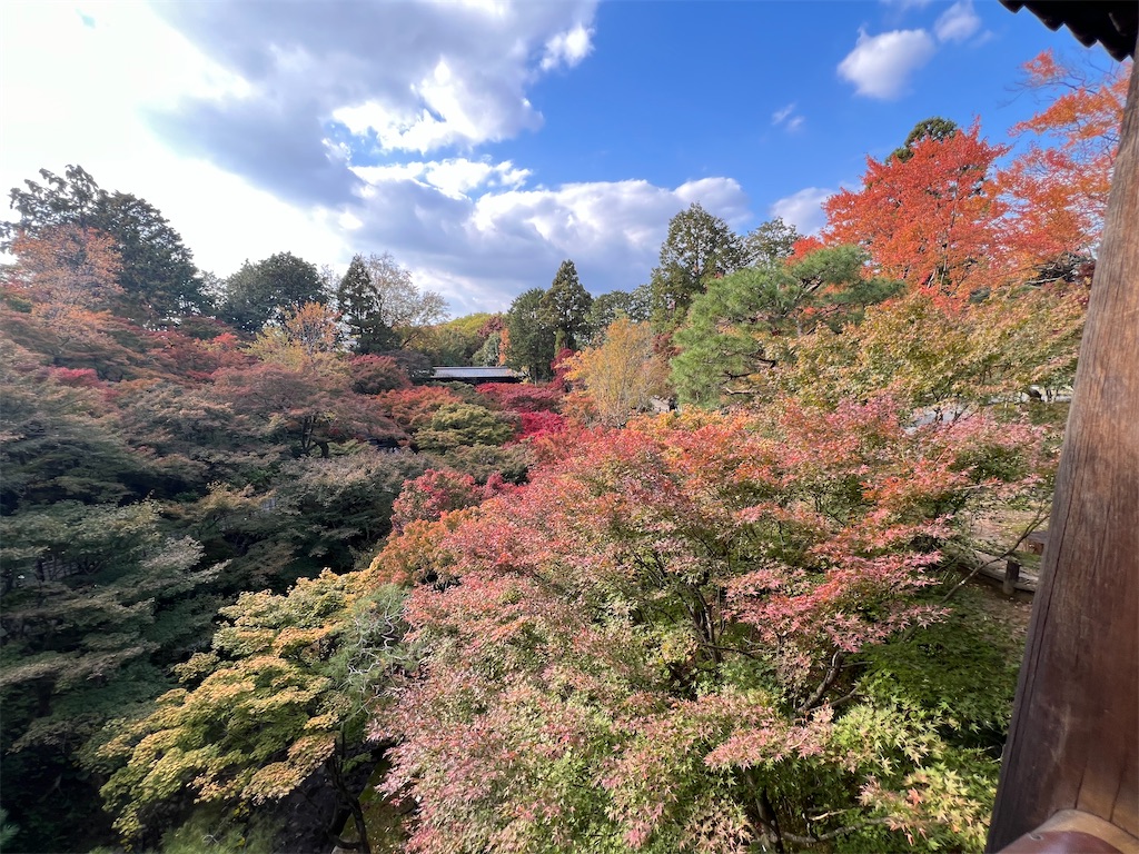 f:id:rosehazuki:20251207215713j:image