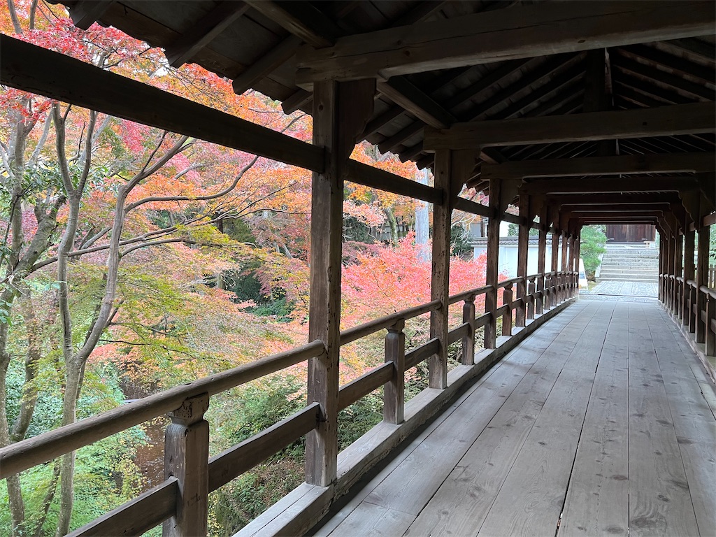 f:id:rosehazuki:20251207215749j:image