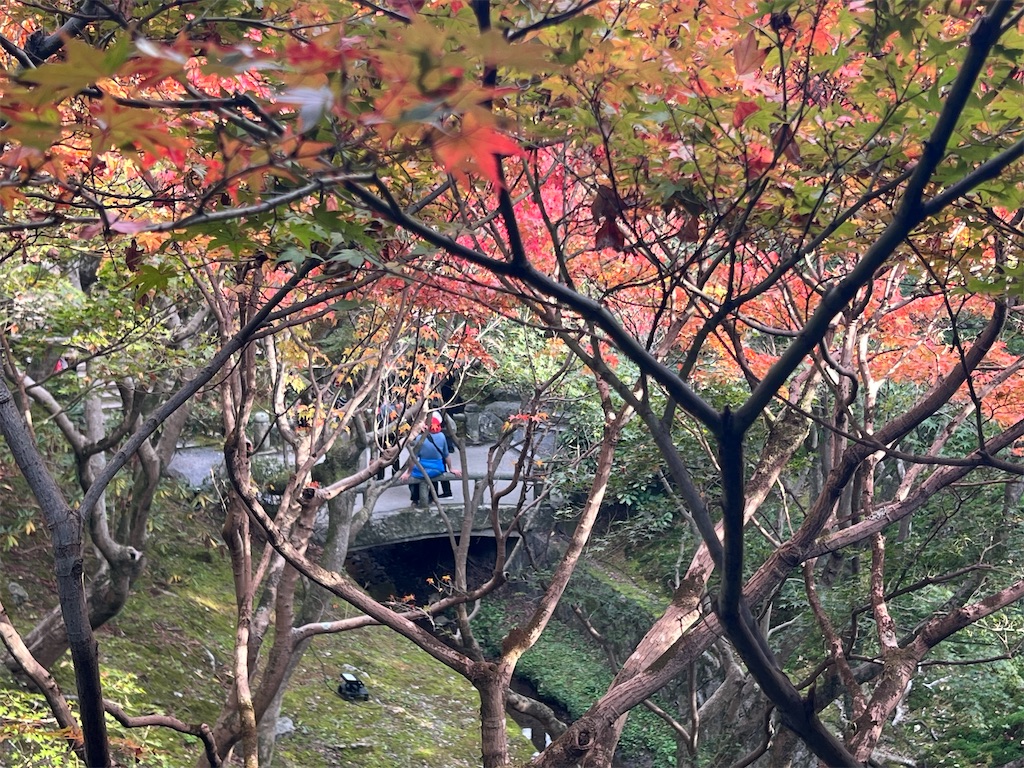 f:id:rosehazuki:20251207220121j:image