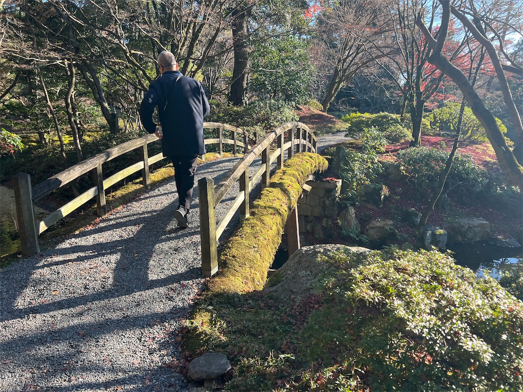 f:id:rosehazuki:20251208231605j:image