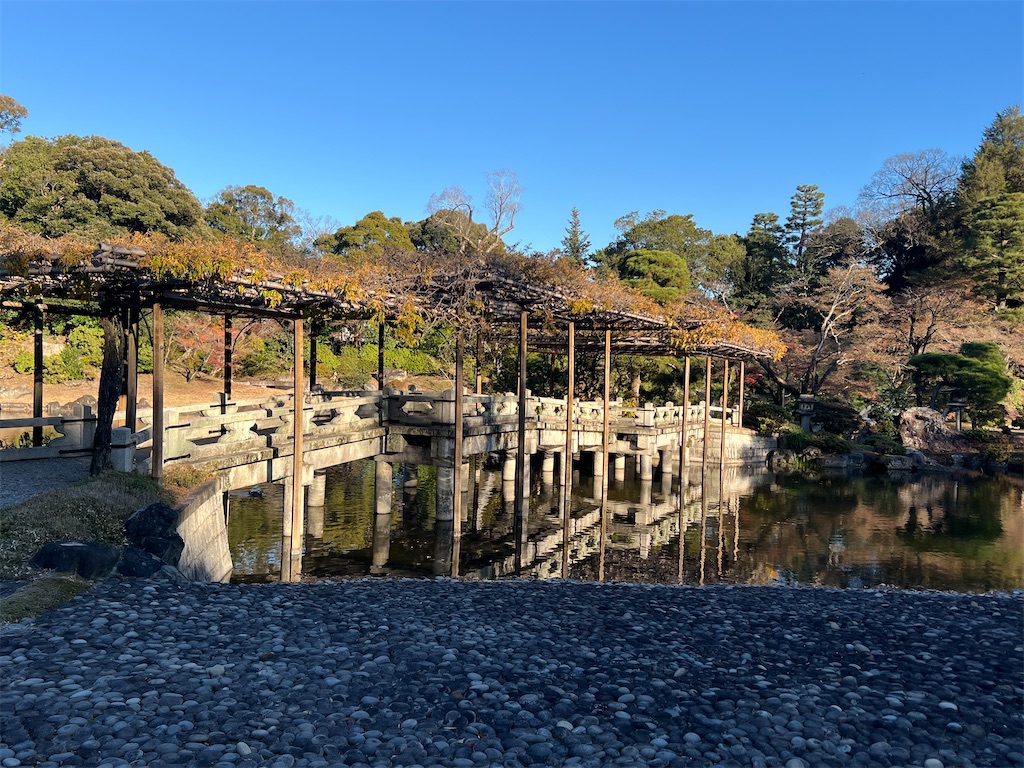 f:id:rosehazuki:20251208231626j:image