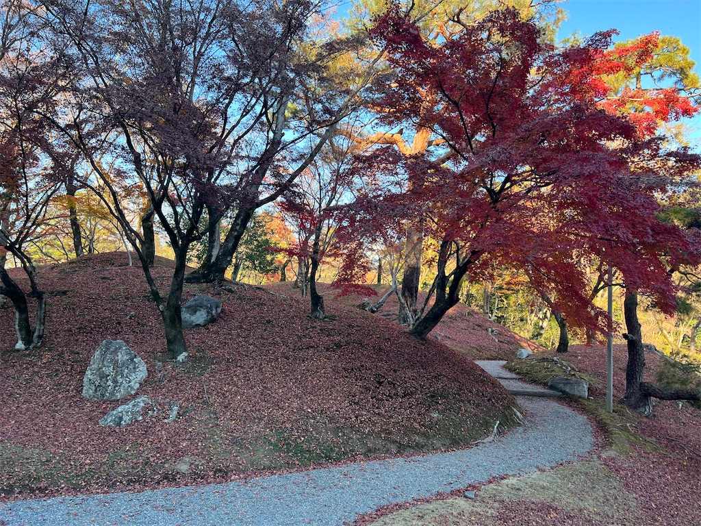 f:id:rosehazuki:20251208231630j:image