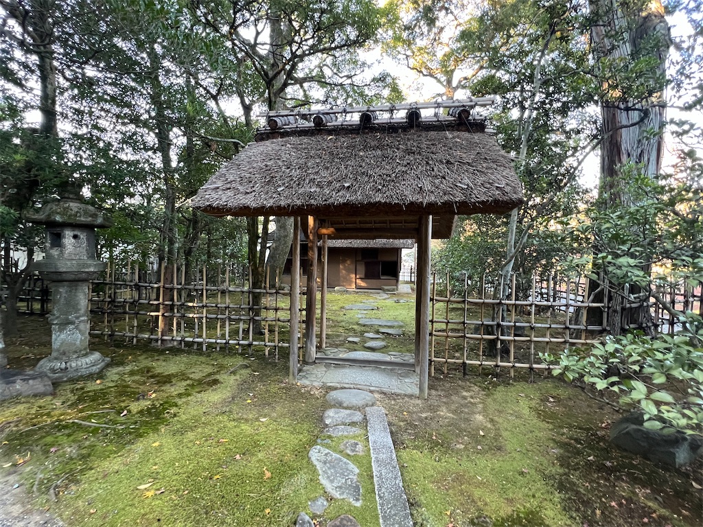 f:id:rosehazuki:20251208231646j:image