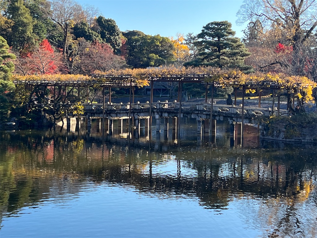 f:id:rosehazuki:20251208231702j:image