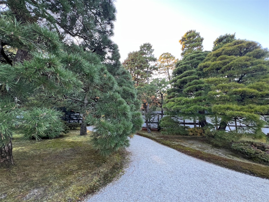 f:id:rosehazuki:20251208231706j:image