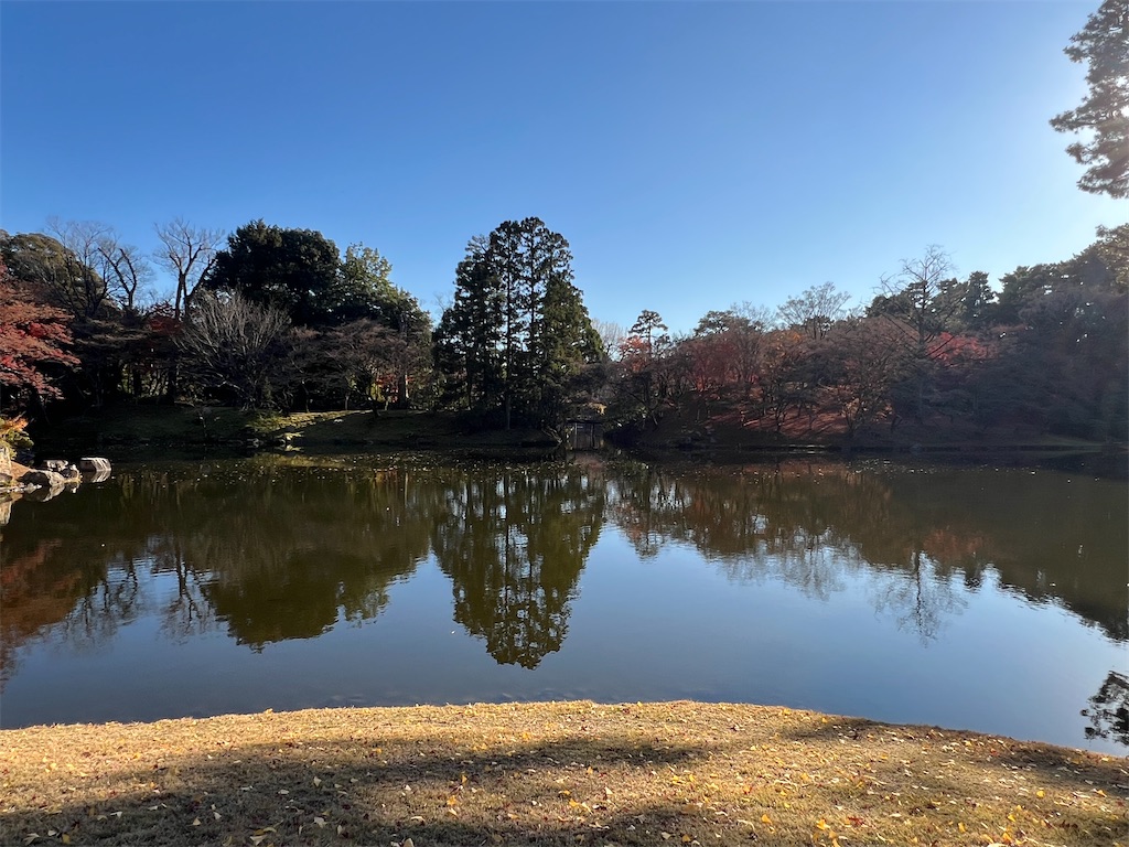 f:id:rosehazuki:20251208231710j:image